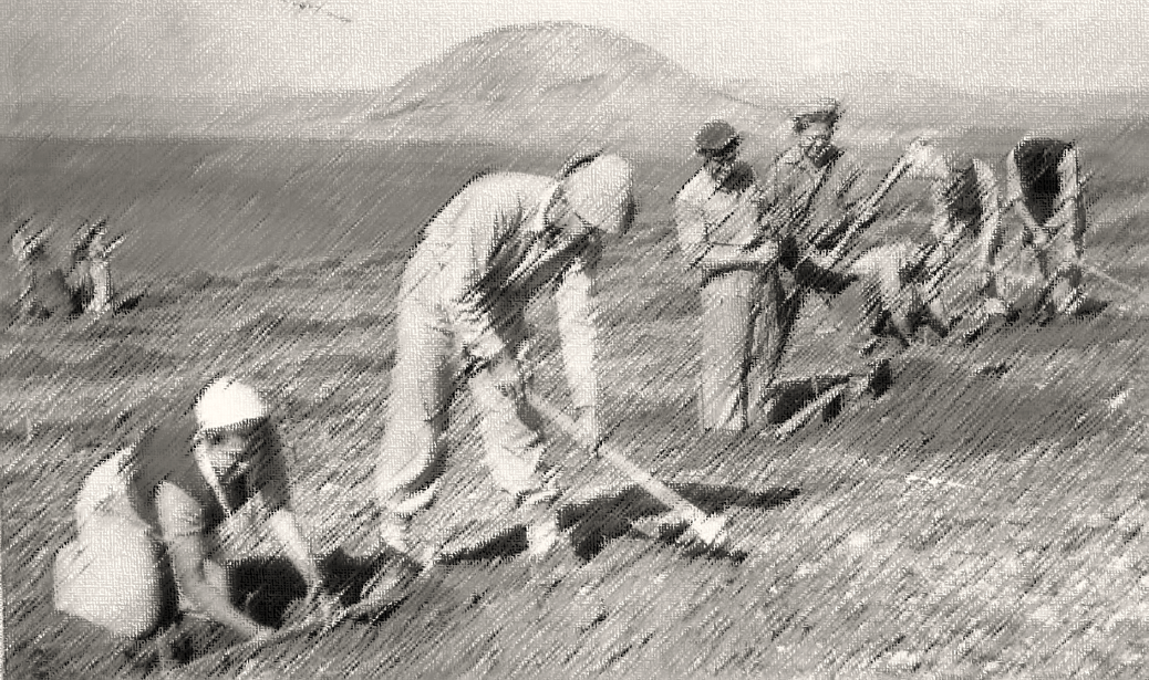 קיבוץ גזית - קיר המייסדים: 1948-1957 wall image