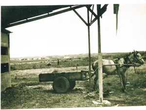 הרכבים. מרכבות של פעם