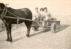 על העגלה71  במושב