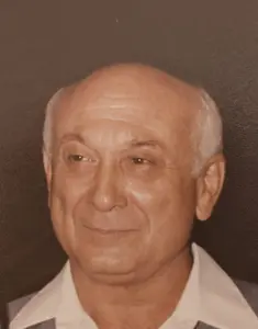חנינא שטיינברג