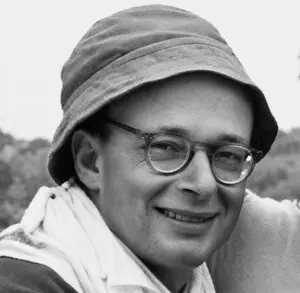 עלי אלון