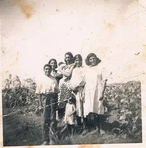 וותיקים