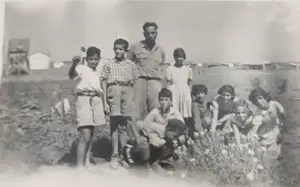 יום העצמאות