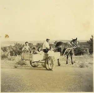 אליהו מצויינים והעגלה