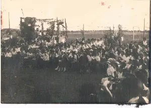 שבועות בהודיה 6