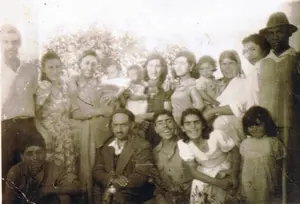 וותיקי הודיה