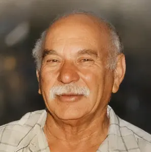 אברום שגיא